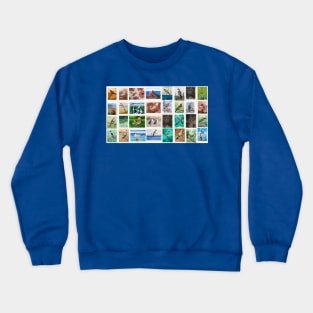 Birds from around the world Crewneck Sweatshirt